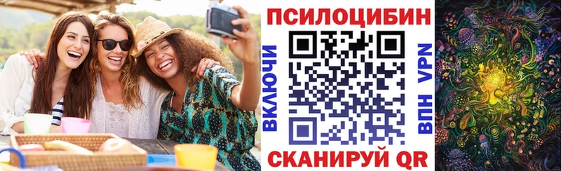 Галлюциногенные грибы Psilocybine cubensis  Нефтекумск 