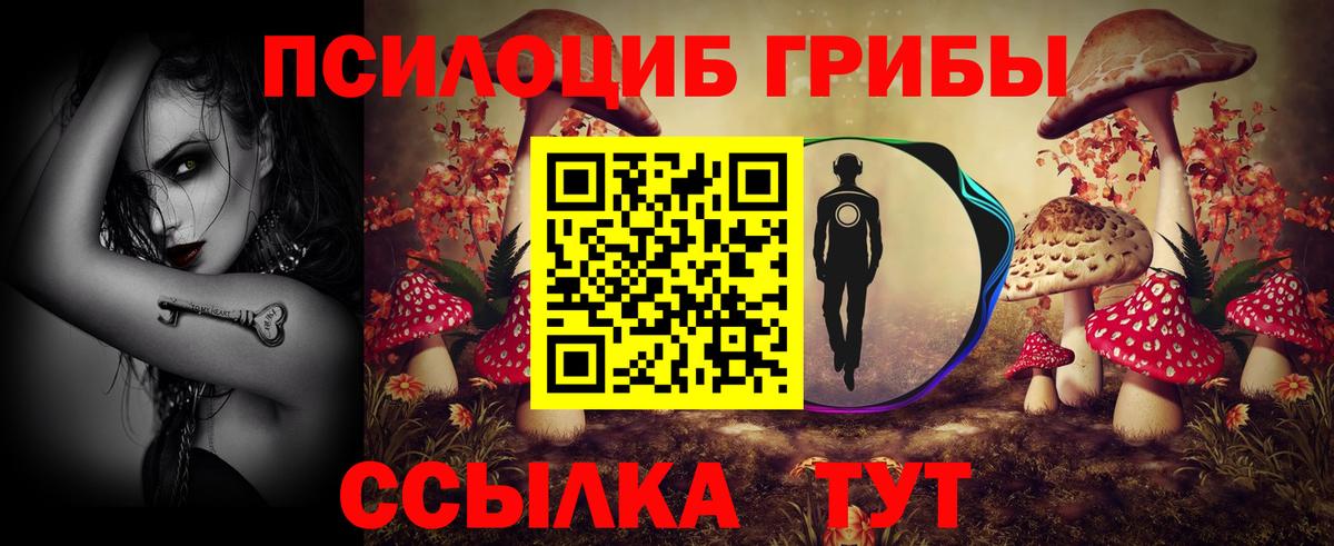 Псилоцибиновые грибы MAGIC MUSHROOMS  Вход с VPN  Нефтекумск 